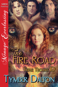 Now on Kindle: The Fire Road (Triple Trouble 10)