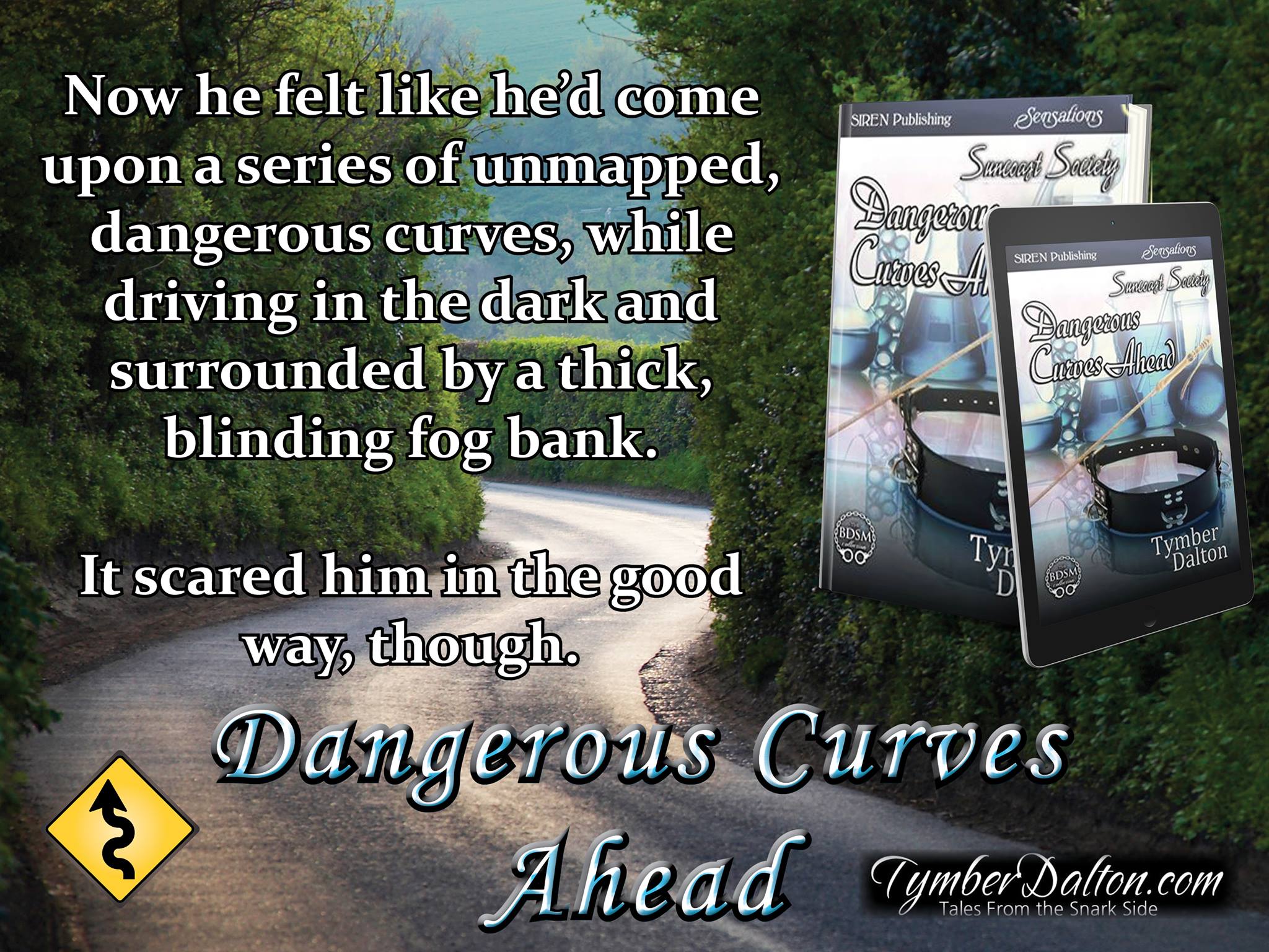 Release Day! Dangerous Curves Ahead (Suncoast Society)