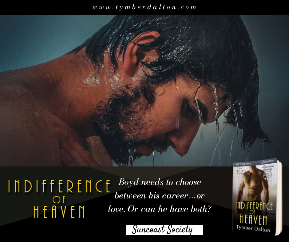 Now Available on Kindle & Print: Indifference of Heaven (Suncoast Society)